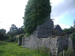 bellanamullia - 1152.JPG